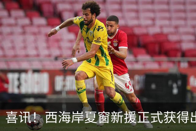 喜讯！西海岸夏窗新援正式获得出战中超资格，踢河南队有望首秀