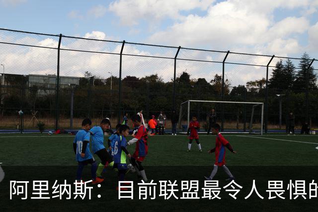 阿里纳斯：目前联盟最令人畏惧的球员我选字母哥 他不跟你讲道理